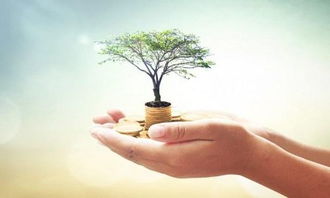 北京個人設計工作室注冊與運營全攻略 開啟您的專業設計服務之路